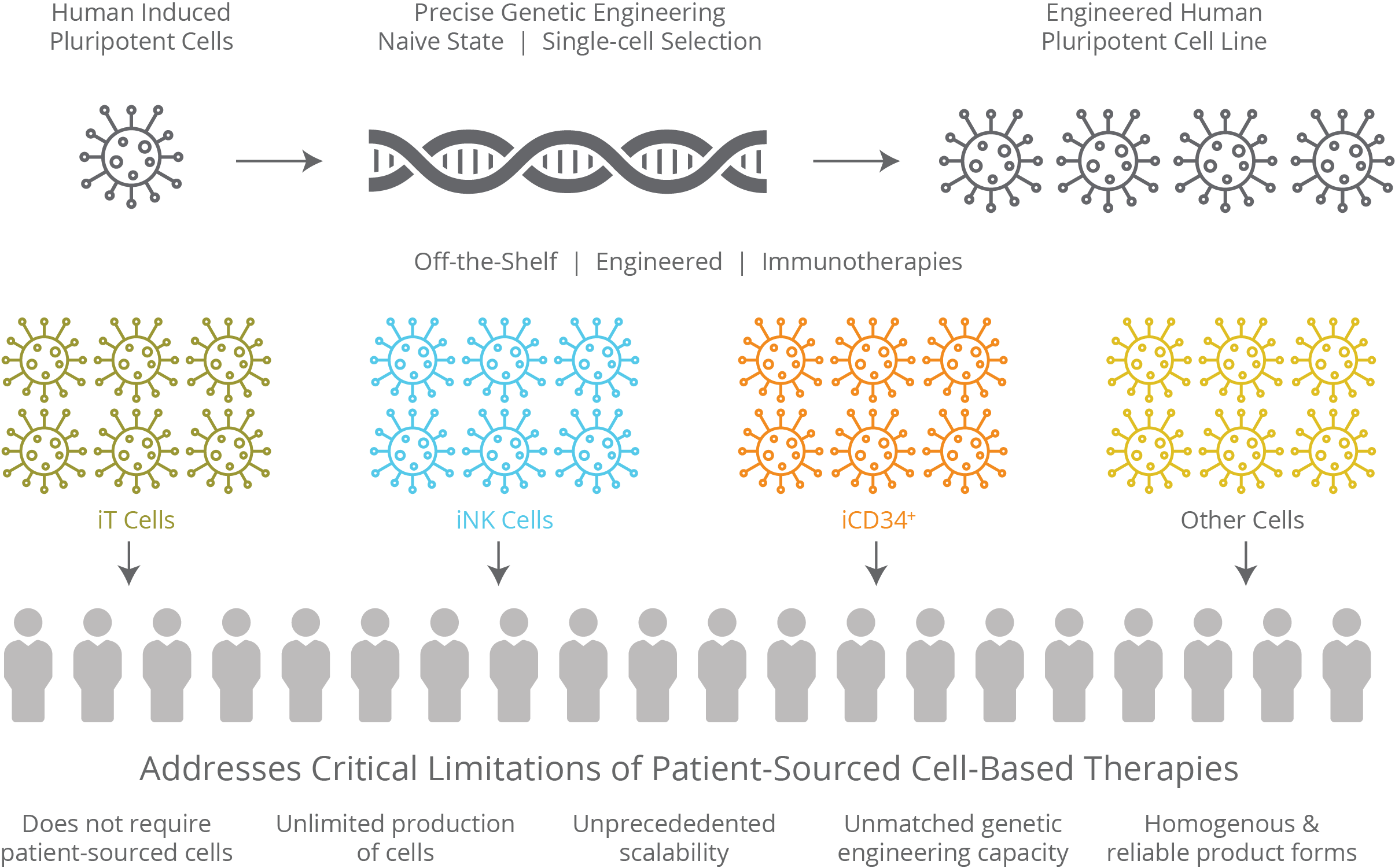 Programming Cell Fate