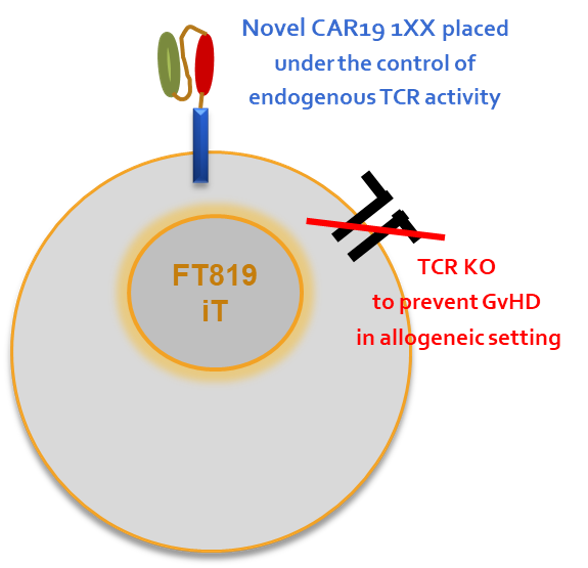 FT819