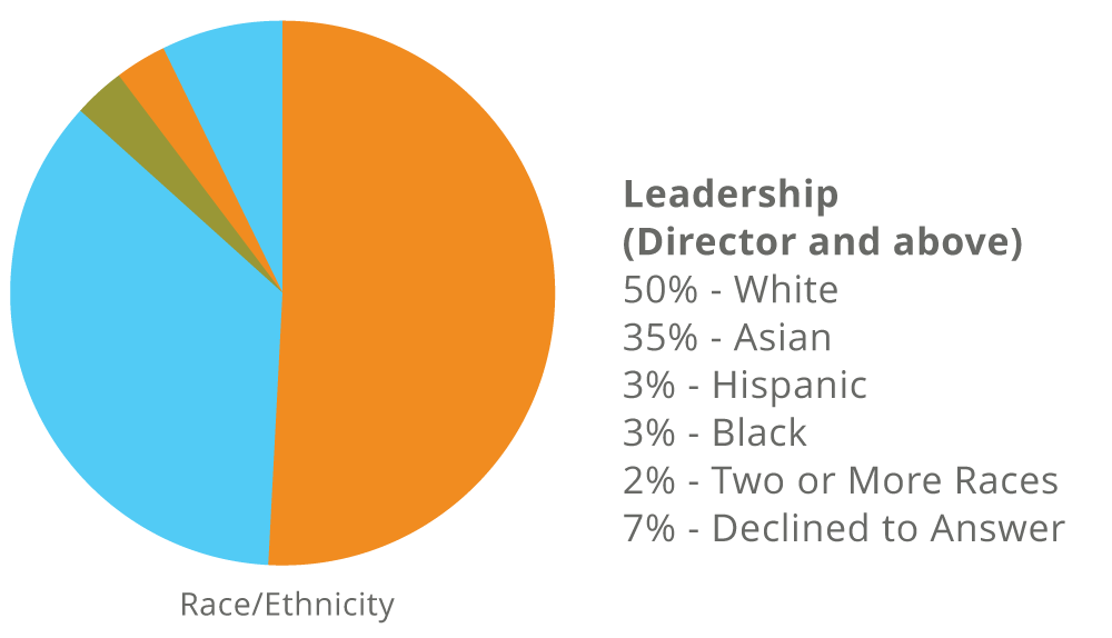 pie-charts-race