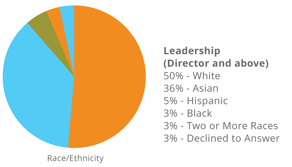 pie-charts-race
