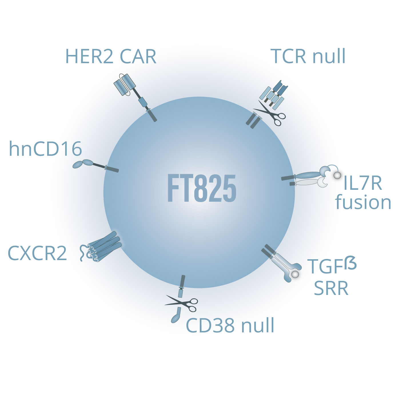 FT825