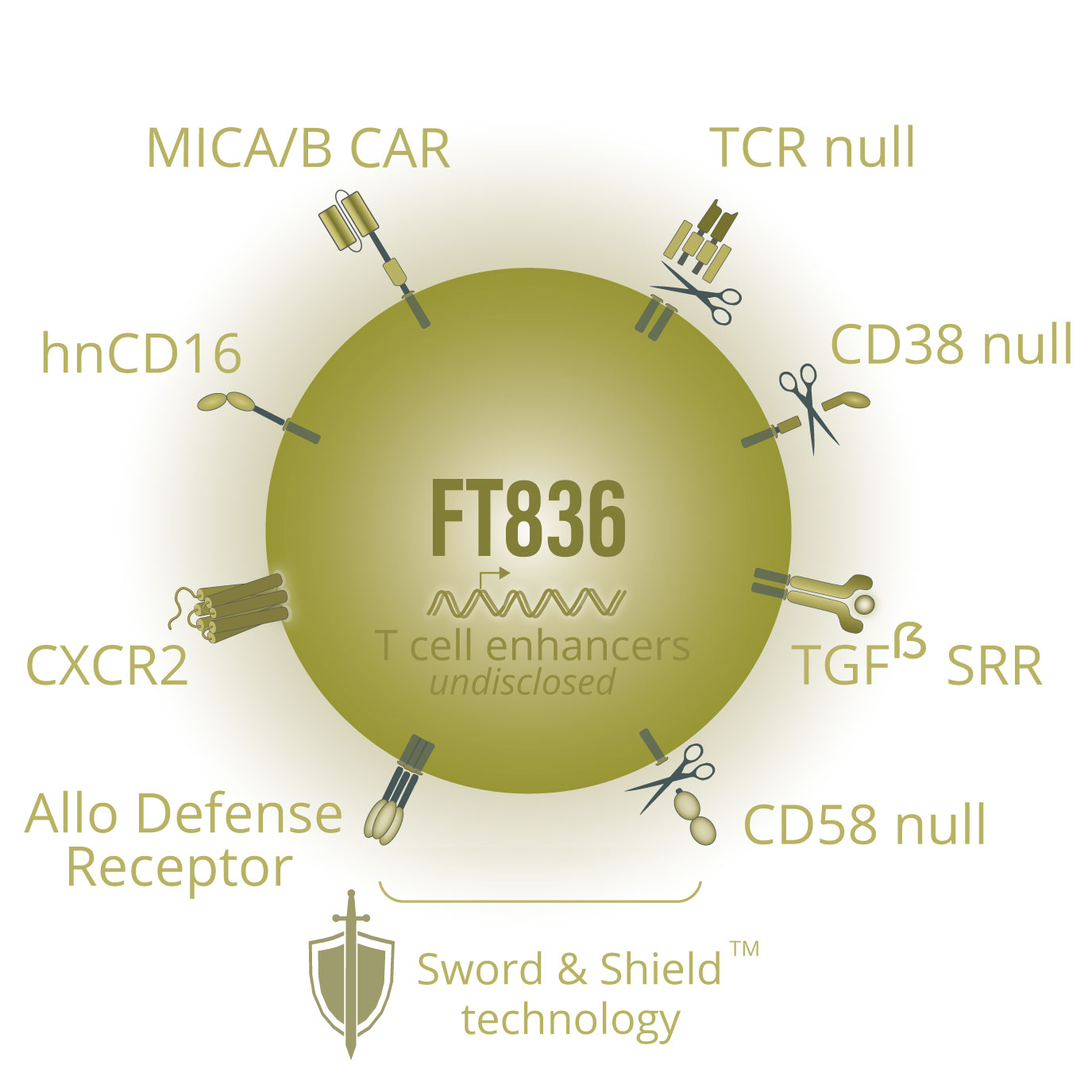 FT836