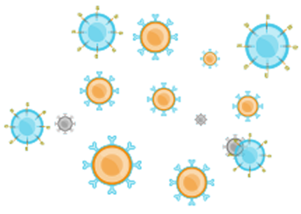 autoimmune-img-02