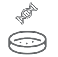 dna-icon