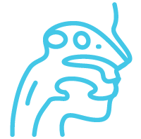 head-icon