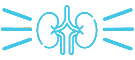 kidney-icon-02