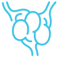 lymph-icon