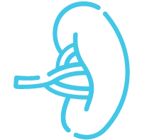 spleen-icon