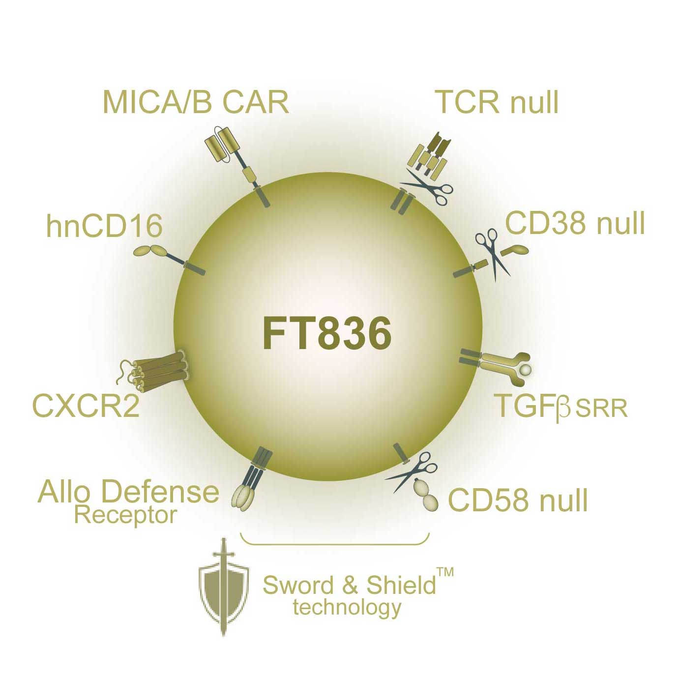 FT836-v2