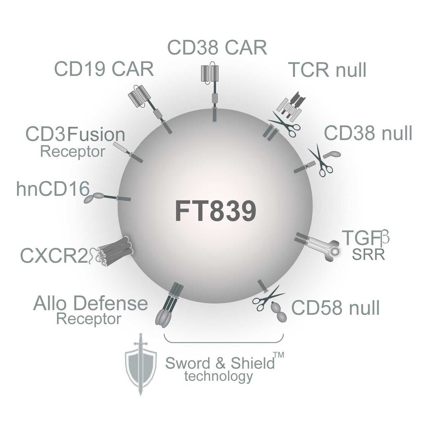 FT839-v2